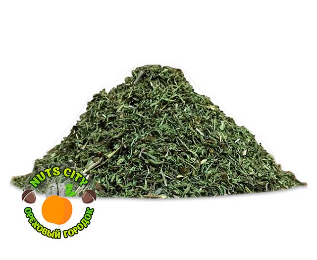 Кондари(Джамбул)