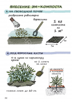 Брошюра «ЭМ-практика» фрагмент