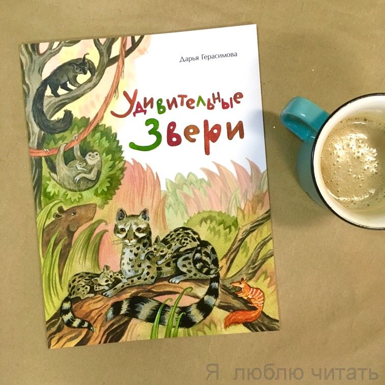 Книга «Удивительные звери»