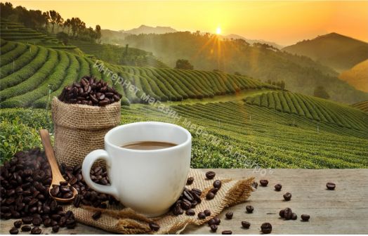 Кухонный гарнитур Риал 2К-110-Капучино 2100