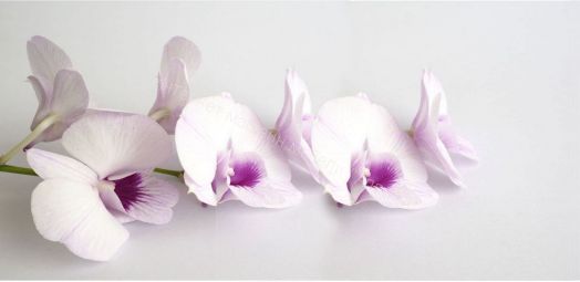 Кухонный гарнитур Риал К 52-сиреневый 1800