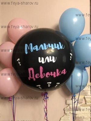 Набор "Мальчик или Девочка"