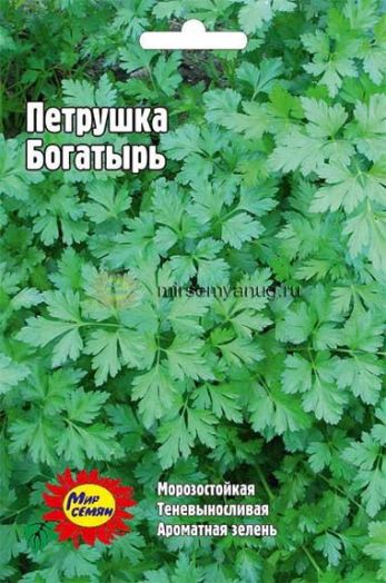 Петрушка Богатырь, 5 гр