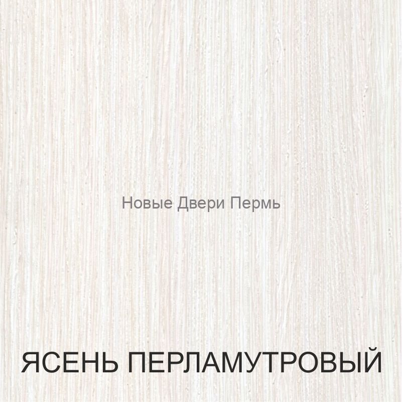 "Турин 525 АПС" Молдинг SC Межкомнатная дверь с матовым стеклом экошпон