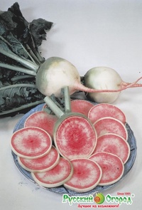 Дайкон "Розовый блеск Мисато", 1 гр