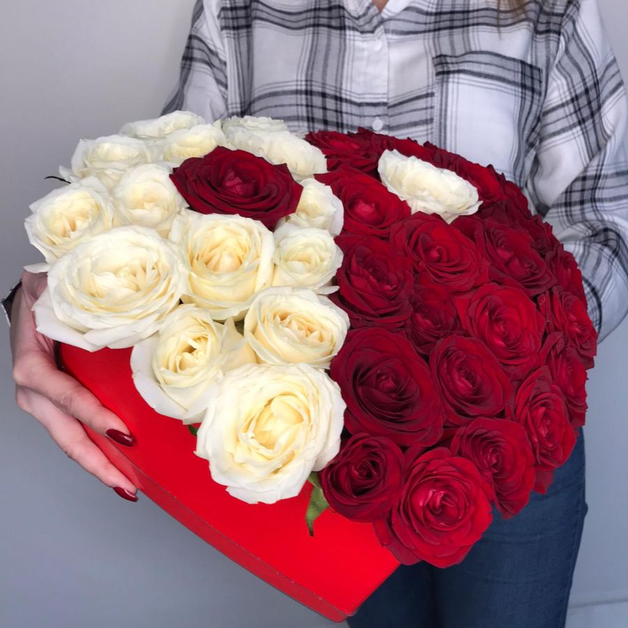 Сердце: инь/янь