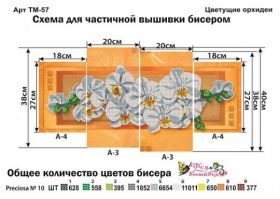 Фея Вышивки ТМ-57 Цветущие Орхидеи схема для вышивки бисером купить оптом в магазине Золотая Игла