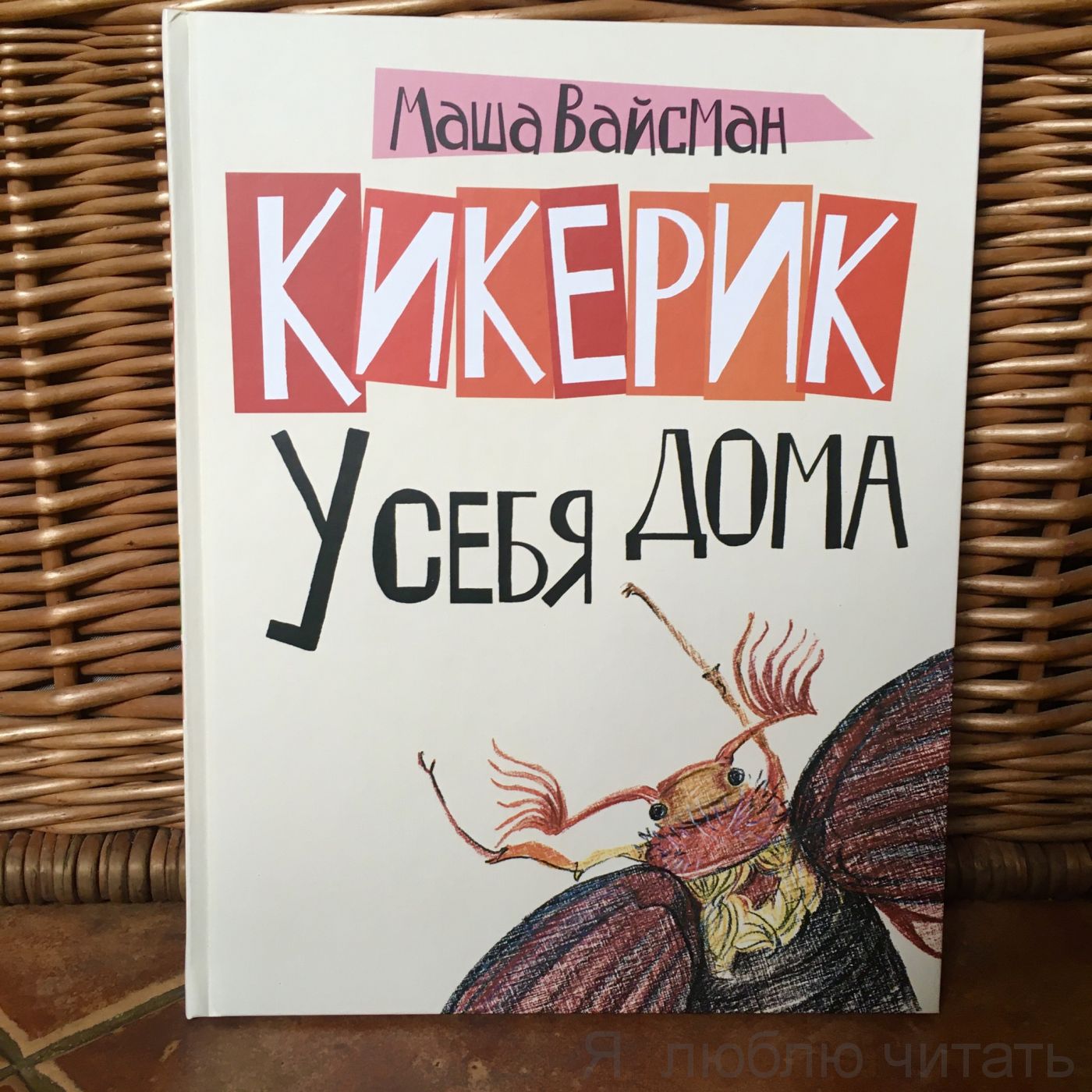 Кикерик у себя дома