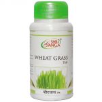 Wheat Grass Ростки пшеницы Шри Ганга
