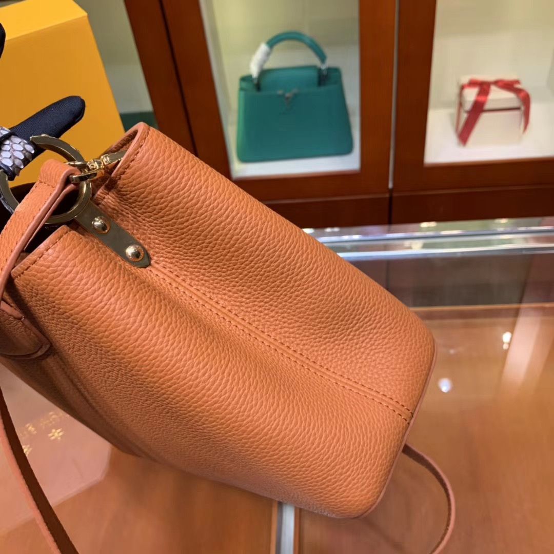 Louis Vuitton Cappucines 31 cm