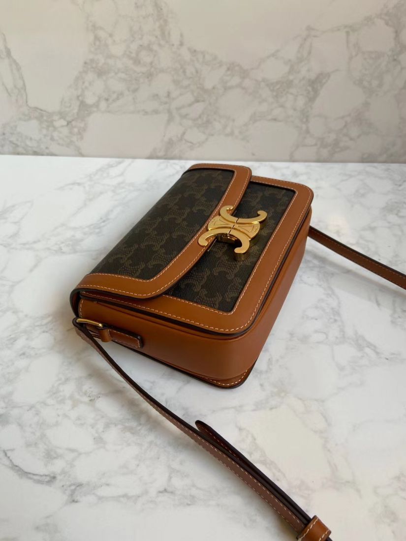 Клатч CELINE Triomphe Canvas