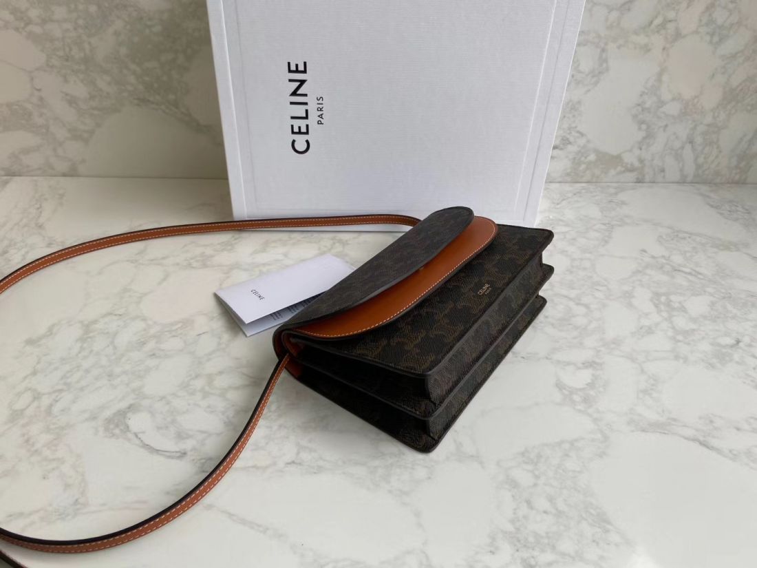 Клатч CELINE Triomphe Canvas