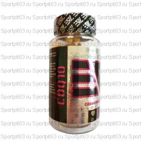 EPIC LABS CO Q10 200MG 60 TAB