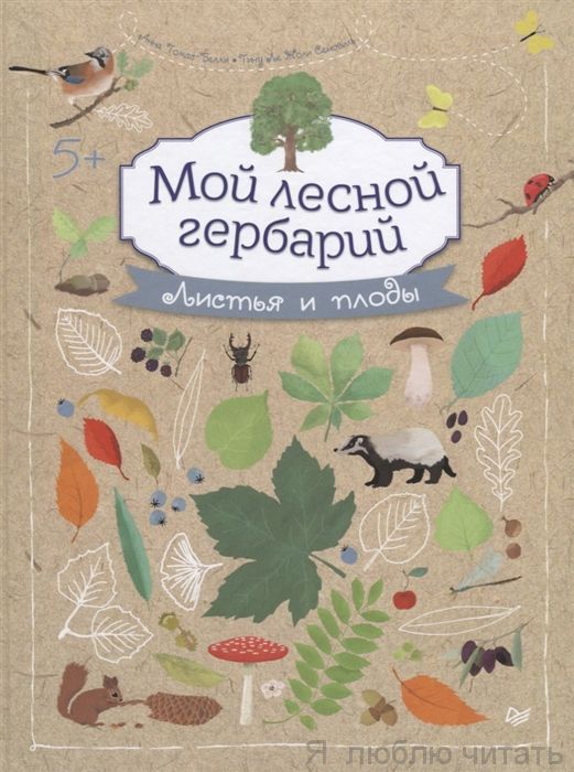 Мой лесной гербарий
