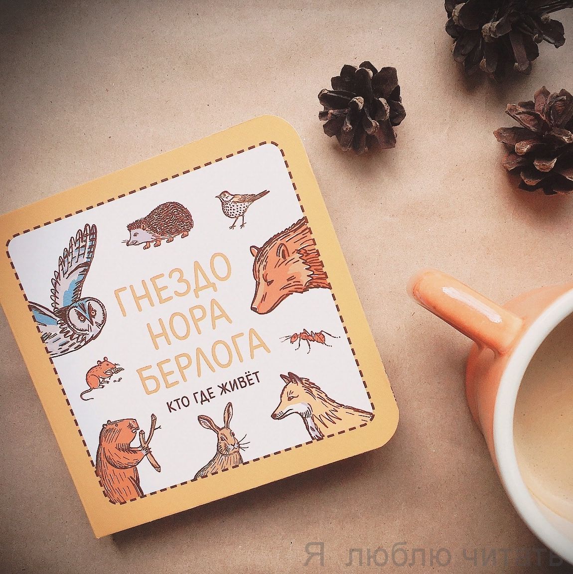 Узнавалки. Гнездо. Нора. Берлога