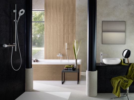 Ручной душ Grohe Rainshower Icon 27276000 ФОТО