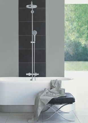 Ручной душ Grohe Euphoria 27265 000 Mono схема 8