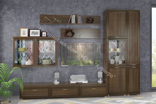 Гостиная Карина № 1