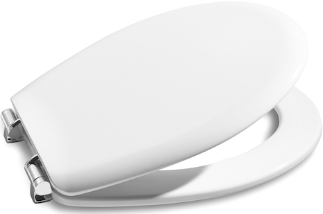 Изображение Крышка-сиденье Roca Victoria ZRU8013920 soft-close