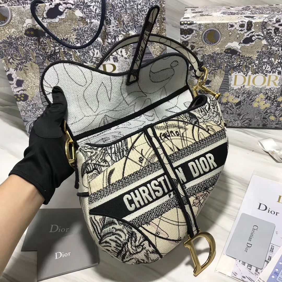 Dior Saddle Bag 25,5 cm