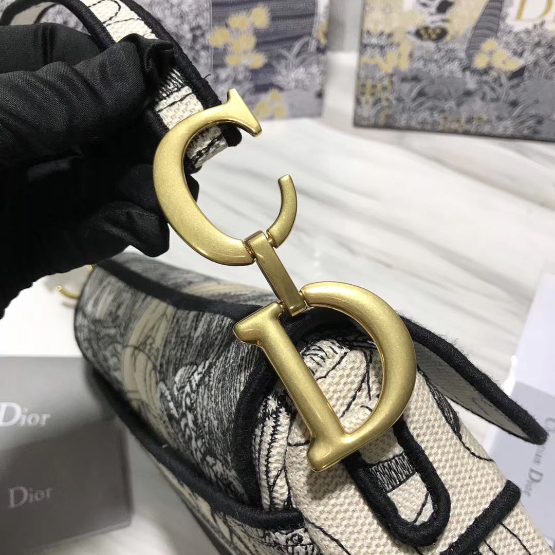 Dior Saddle Bag 25,5 cm