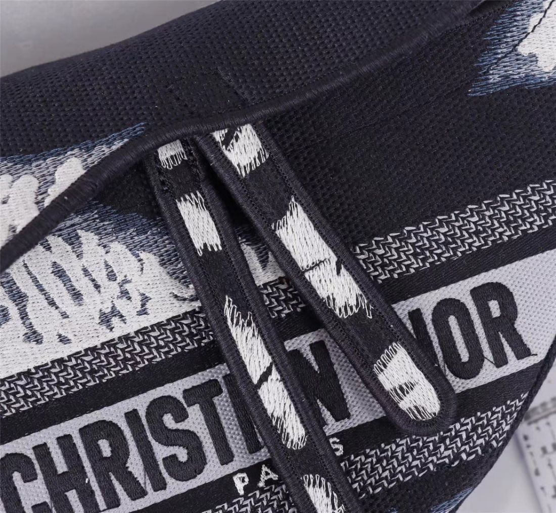 Dior Saddle Bag 25,5 cm