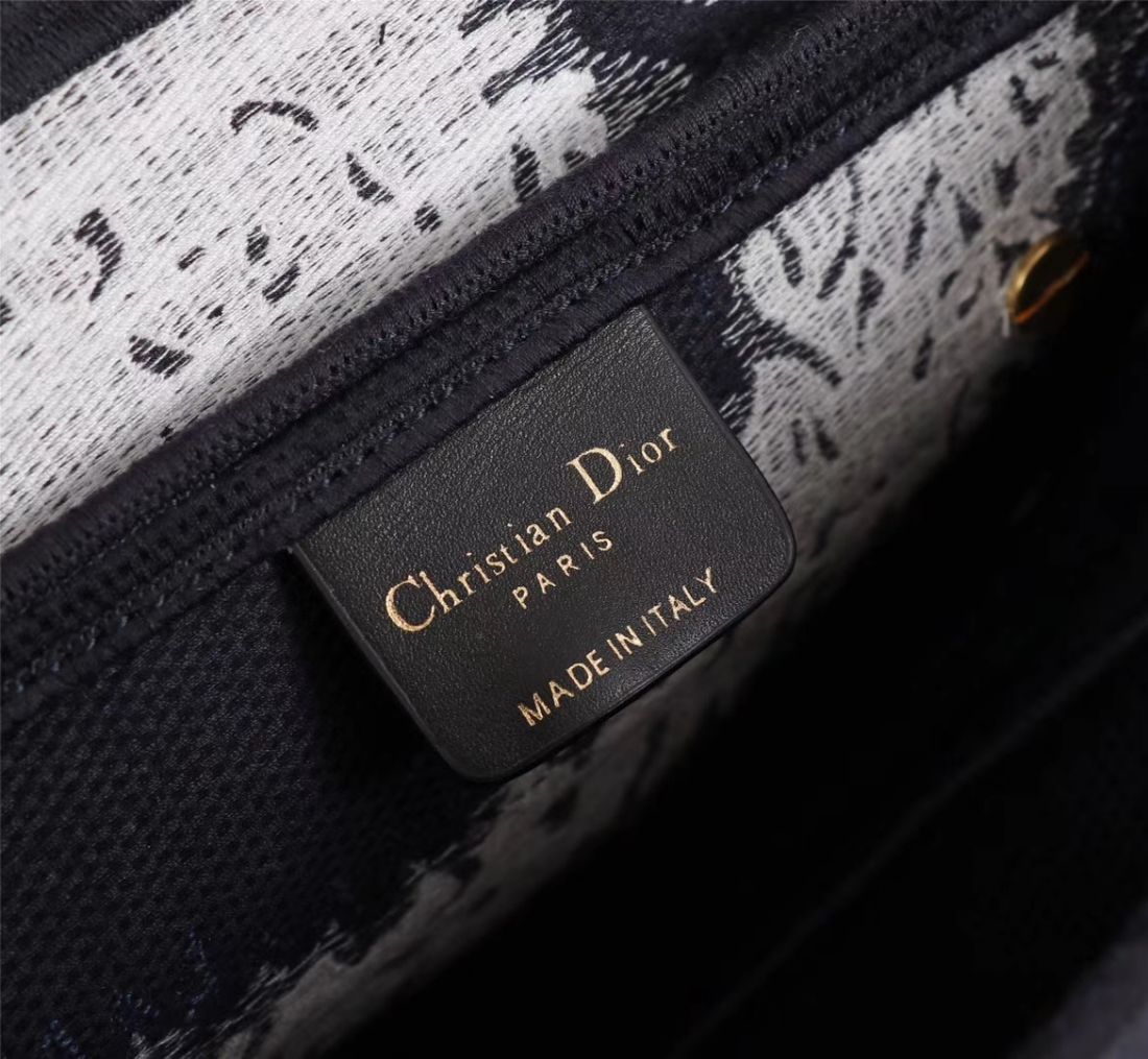 Dior Saddle Bag 25,5 cm