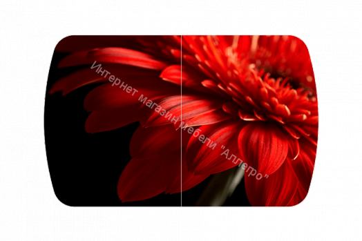 Стол овальный "Бостон-2" Красная гербера/хром брифинг