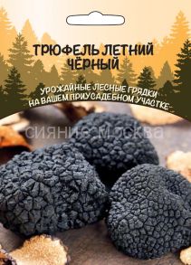 Трюфель летний Черный (Уральский Дачник)