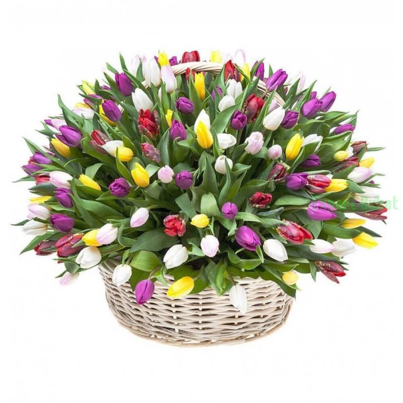 Оттенки Любви