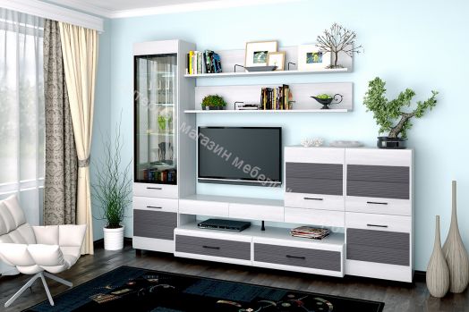 Гостиная КАМЕЛИЯ 5 Снежный Ясень серый