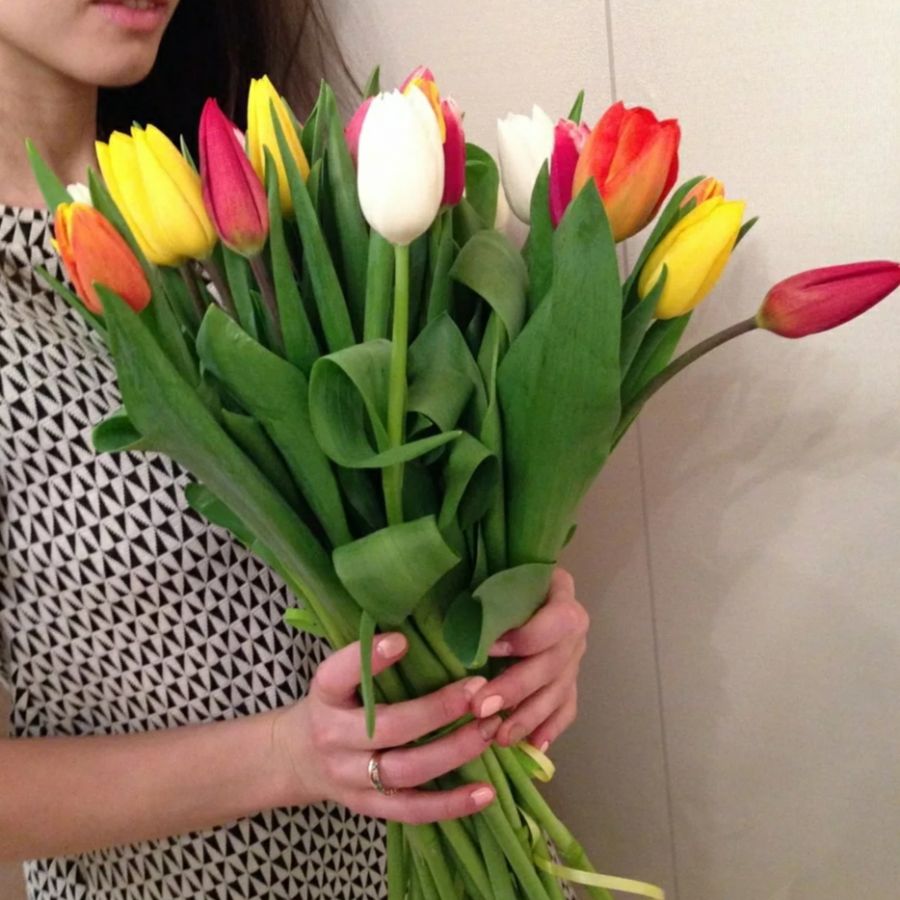 Тюльпаны 15 шт. ( Микс)