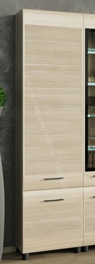 Шкаф для одежды и белья ШК-2641 Камелия