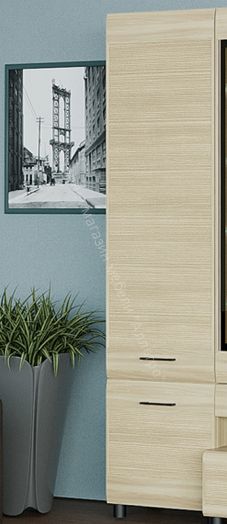 Шкаф для одежды и белья ШК-2642 Камелия