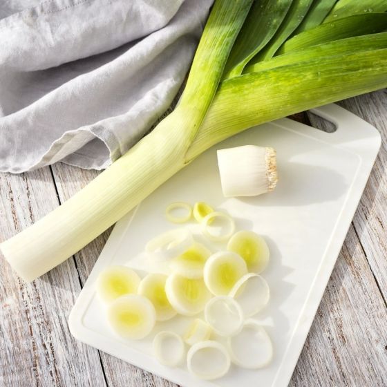 Лук порей