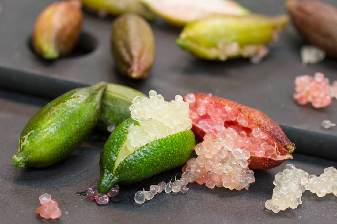 Австралийский пальчиковый лайм Microcitrus australasica