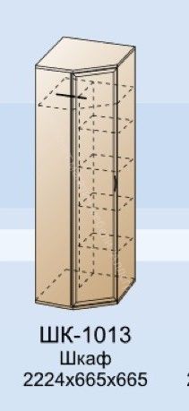 Шкаф ШК-1013 для одежды и белья угловой Карина
