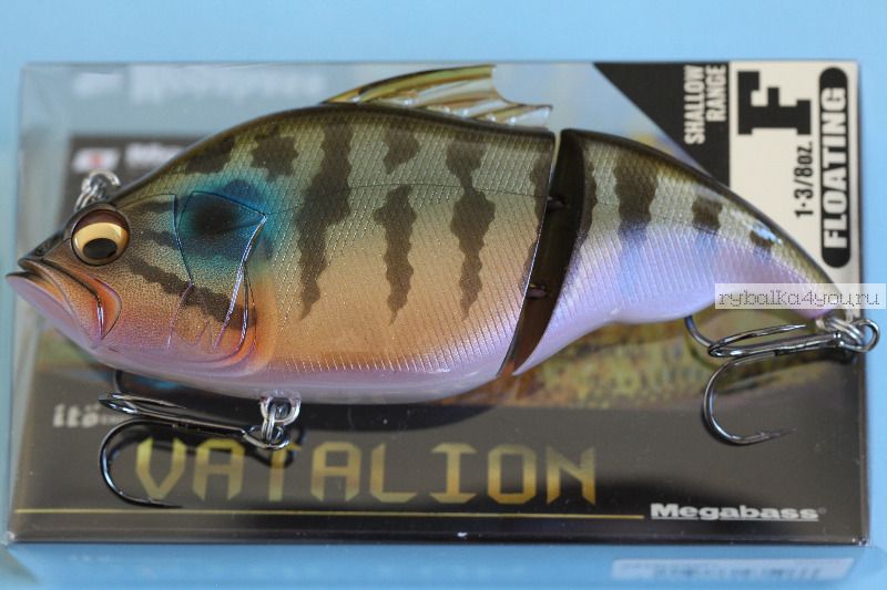 Воблер Megabass Vatalion F 115 мм / 35,8 гр / Заглубление: 0,5 - 1,5м / цвет: ITO Cichlid