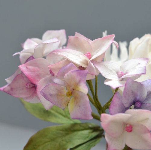 [Где Торт?] Гортензия из сахарной мастики (Евгения Бочарова)