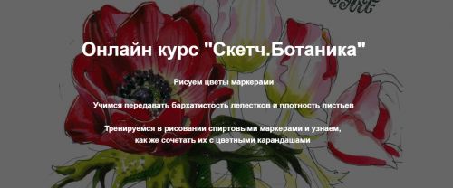 [janelipartschool] Скетч. Ботаника (Евгения Липатова)