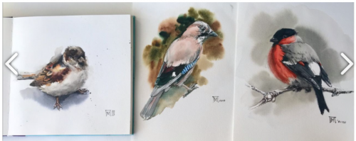 [lectoroom] Птицы акварелью (Мария Павлова)
