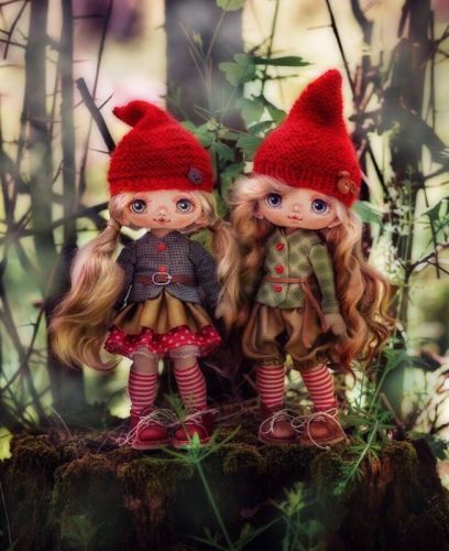 [Панпина] Лесная сказка или Лесные гномочки (Наталья Водовозова)