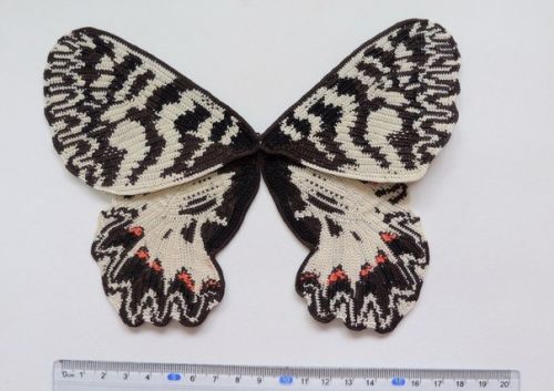 Крылья Поликсена (Татьяна Будаева)