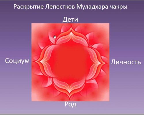 Чакрам. Гармоничное развитие личности. Активация чакр 2018 (пакет золото)(Василий Попов)