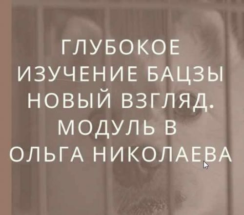 Глубокое изучение астрологии Ба Цзы. Новый взгляд. Модуль B [Ольга Николаева]