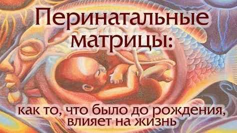 Перинатальные матрицы (Евгения Кузнецова)