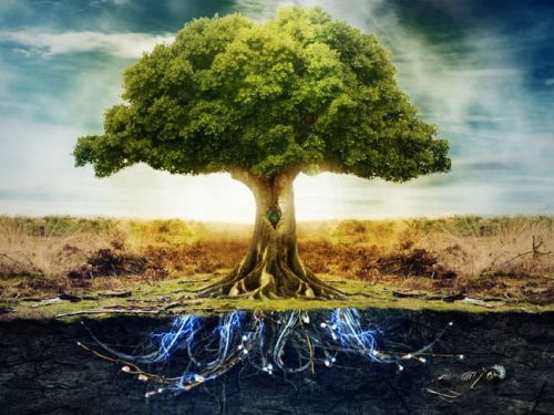 Путешествие к родовому дереву (Галина Корноухова)