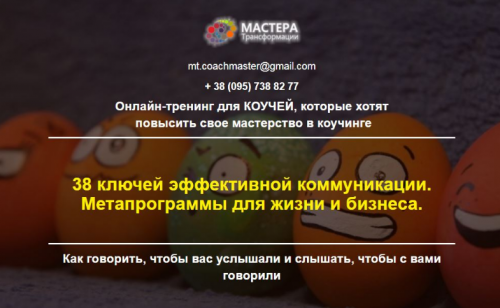 38 ключей эффективной коммуникации. Метапрограммы для жизни. Пакет Практик (Лидия Радичи-Шпаковская)