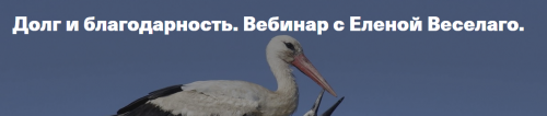 Долг и благодарность (Елена Веселаго)
