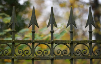 Граница. Онлайн-семинар (Елена Веселаго)